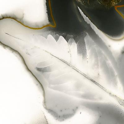 Leaf No.38 c2